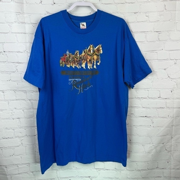 Fruit of the Loom Other - Fruit Of The Loom Vintage Single Stitch Graphic Tee Shirt 1993 Reminisce XXL